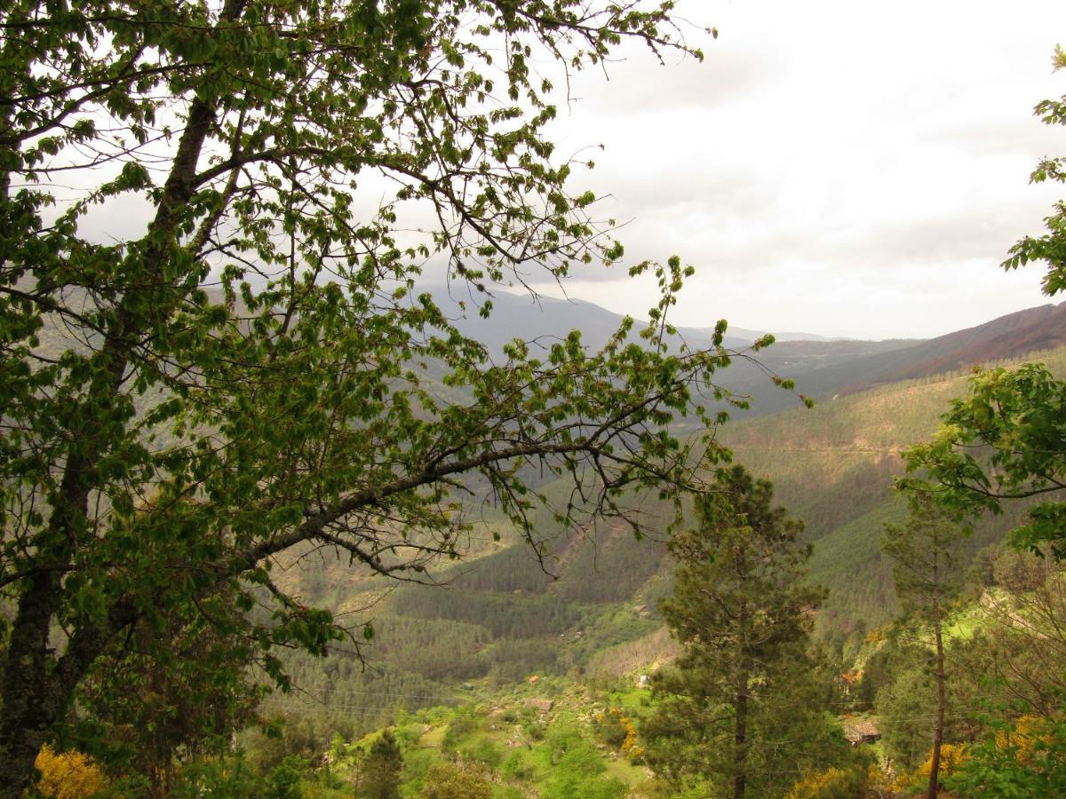 Vila Casa Encantada - Alvoco Da Serra Exteriér fotografie