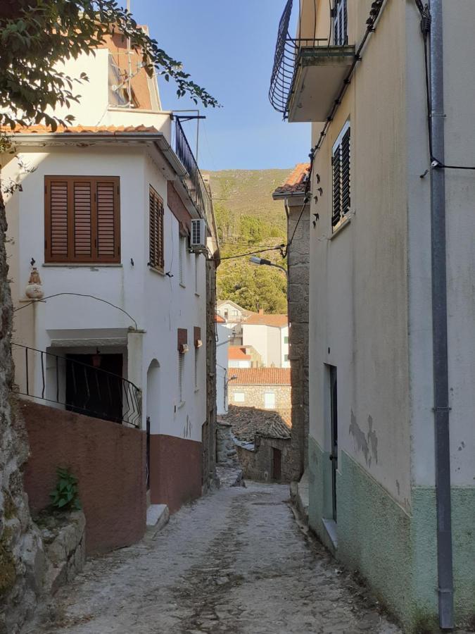 Vila Casa Encantada - Alvoco Da Serra Exteriér fotografie